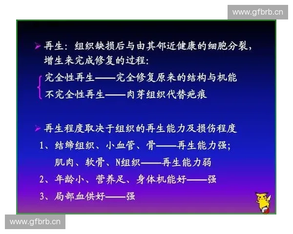 肌肉再生机制与组织修复调控及临床转化应用前景研究新进展